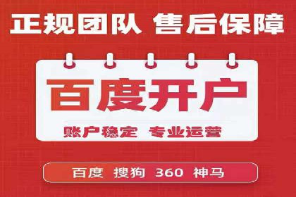 竞价排名案例：跨平台推广效果分析